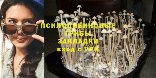 спиды Алексин