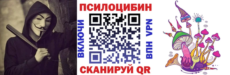 shop Telegram Рыбное Галлюциногенные грибы мицелий